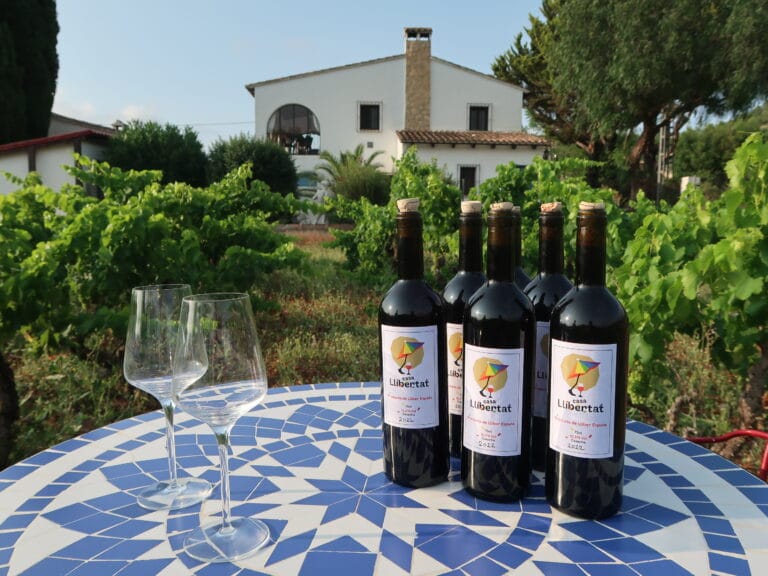 Vijf flessen lokale wijn en twee glazen op een mozaïek tafel buiten.