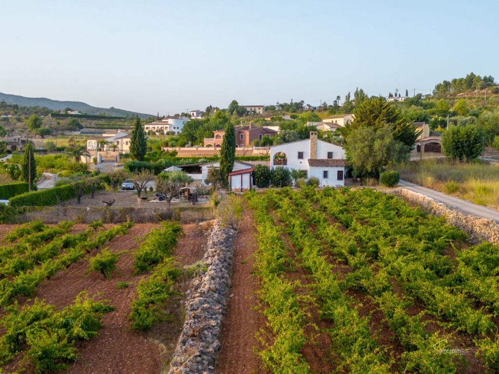 Vacaciones enológicas Costa Blanca: pernoctar con vistas a los viñedos